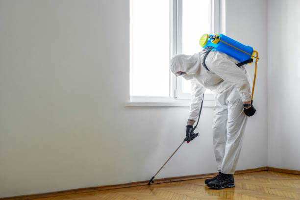 Best Bed Bug Extermination  in Fair Haven, NJ