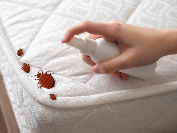 Best Local Pest Control Services  in Fair Haven, NJ